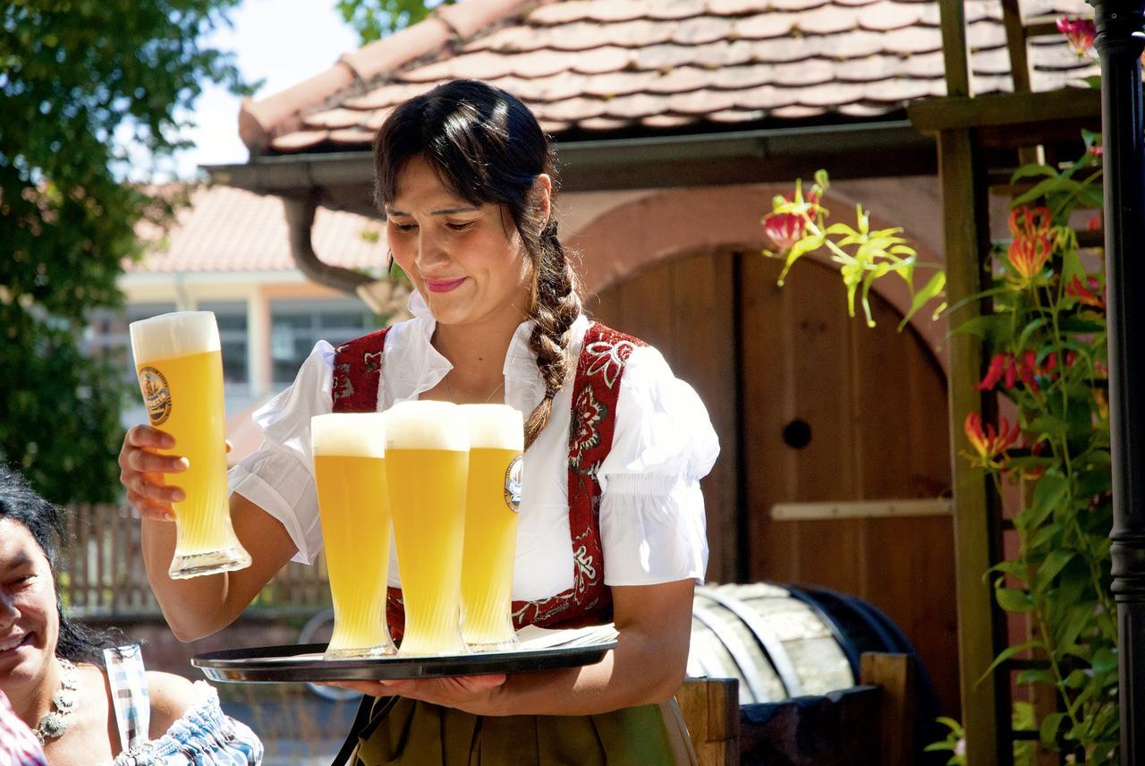 Landgasthaus Roemerhof أوبرنبورغ آم ماين المظهر الخارجي الصورة